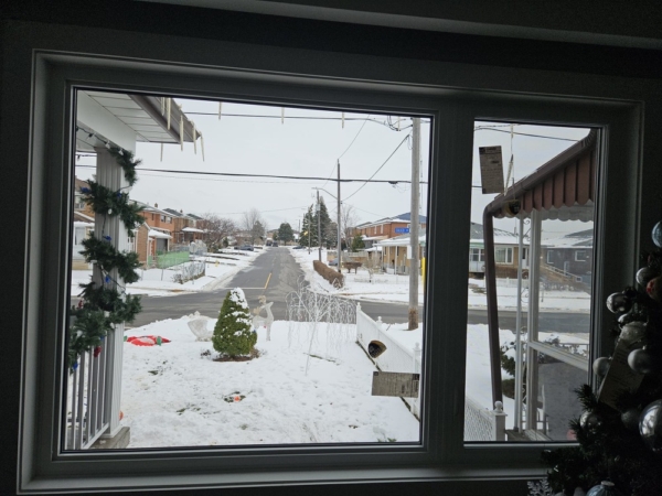 Brick to brick window replacement, white frames in Toronto, Ontario by Optima Windows and Doors, photo from Erica Olmedo's 5-star Google review