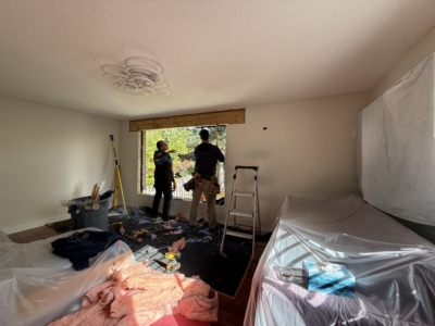 Window and door replacement in Richmond Hill, Ontario by Optima Windows and Doors (photo 3), photo from Narges Kiumarzi's 5-star Google review